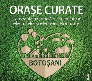 Botosani campaign