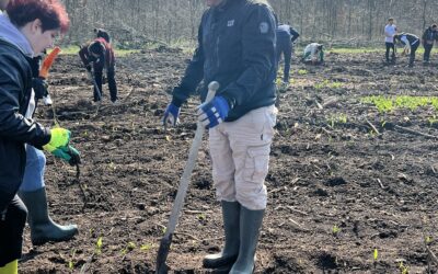 ECOTIC organized an afforestation campaign for producers and partners
