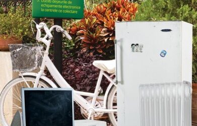 Involvement of local authorities in county programs for proper management of waste electronic equipment